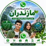 لینکدونی واتساپ مازندران | عضویت در بهترین گروه‌ها و کانال‌های مازندران 